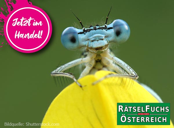 Rätselfuchs Österreich mit dem Thema Wunderwelt der Insekten jetzt im Handel