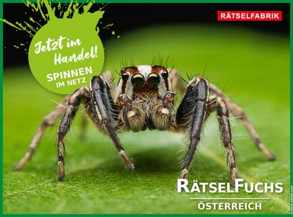 Rätselfuchs Österreich zum Thema Spinnen im Netz