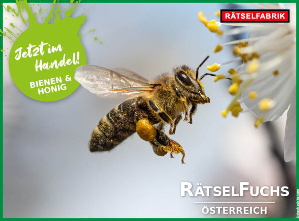 Rätselfuchs Österreich: Bienen und Honig