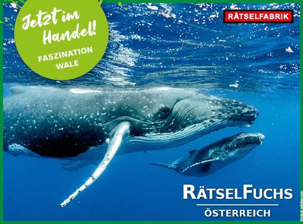 RätselFuchs Rätsel Wale