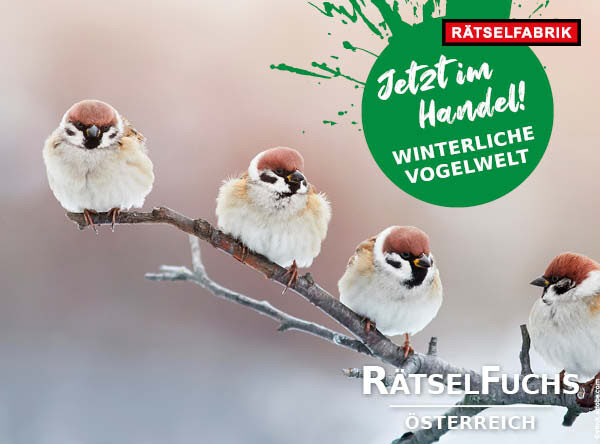RätselFuchs Österreich Winterliche Vogelwelt