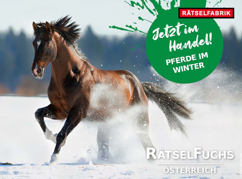 RätselFuchs Österreich Pferde im Winter