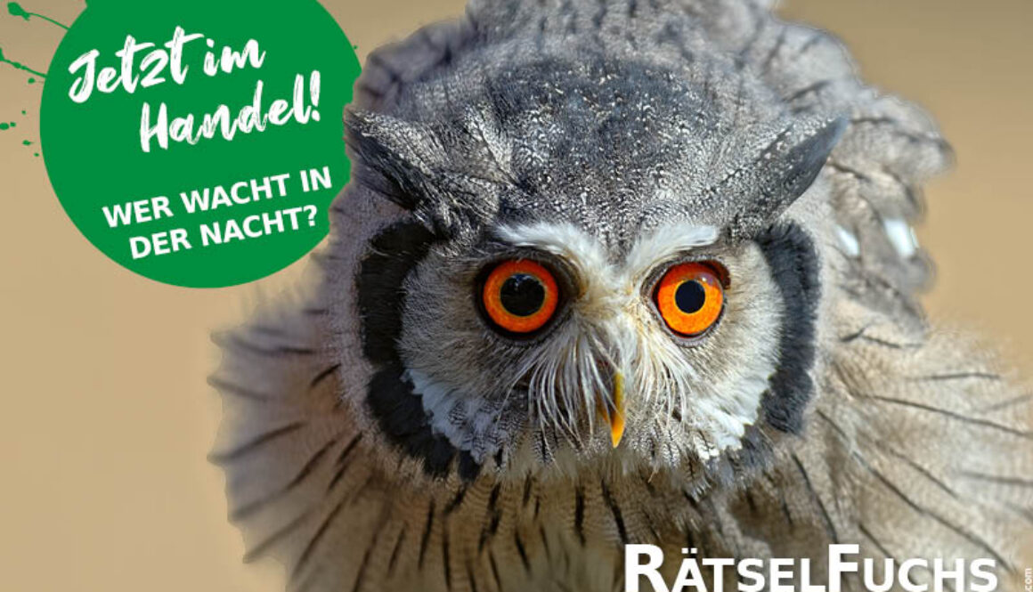 RätselFuchs Österreich - Wer wacht in der Nacht?