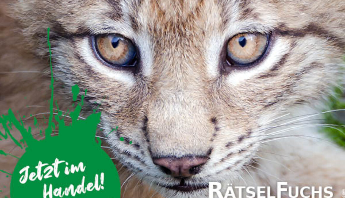 RätselFuchs Österreich - Im Wildtierpark